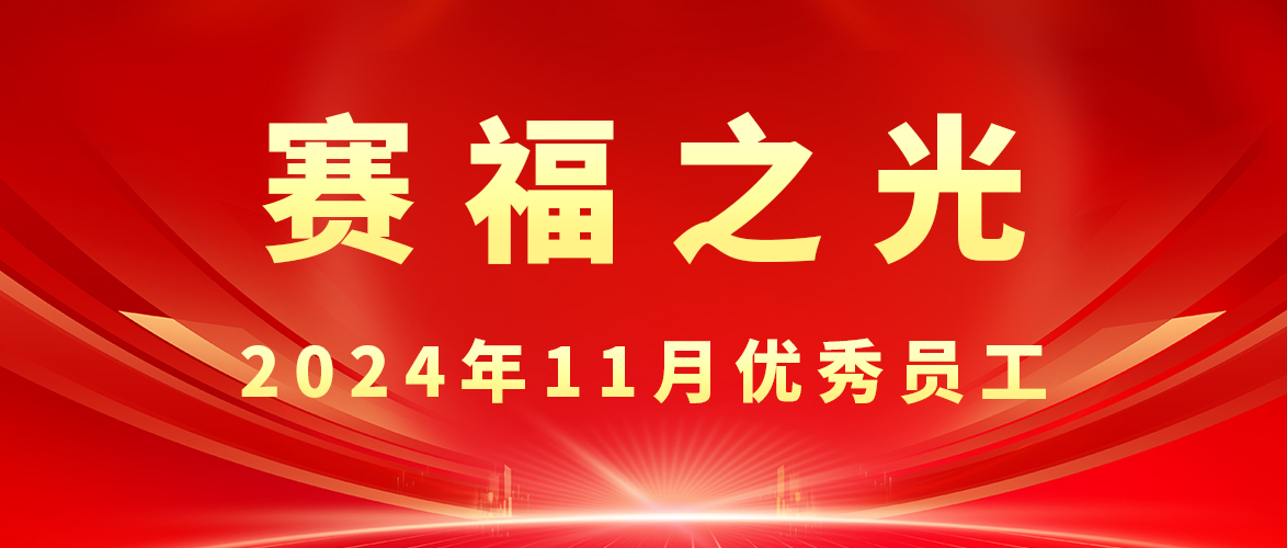 【赛福之光】2024年11月优秀员工先进事迹